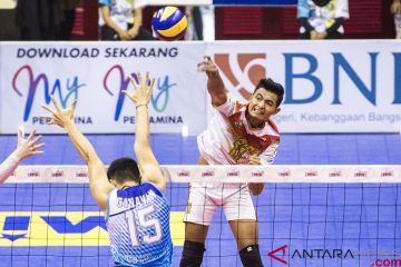 Menyelami Dunia Bola Voli Proliga - Antara Kompetisi dan Dedikasi Atlet